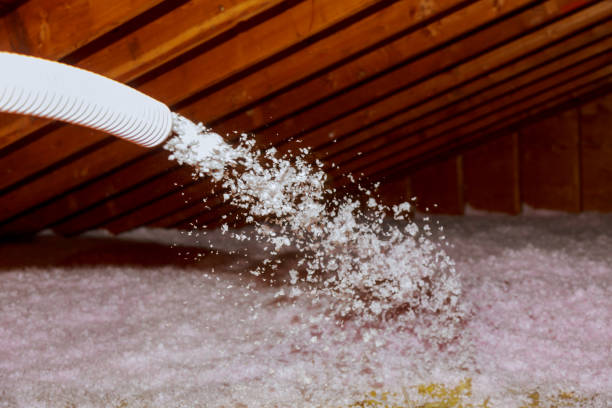 Best Energy Efficiency Solutions in Vienna, IL