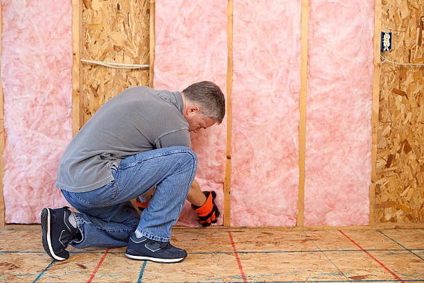 Best Insulation Installation Services in Vienna, IL