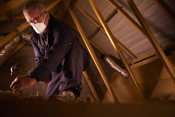 Best Insulation Maintenance and Repair in Vienna, IL